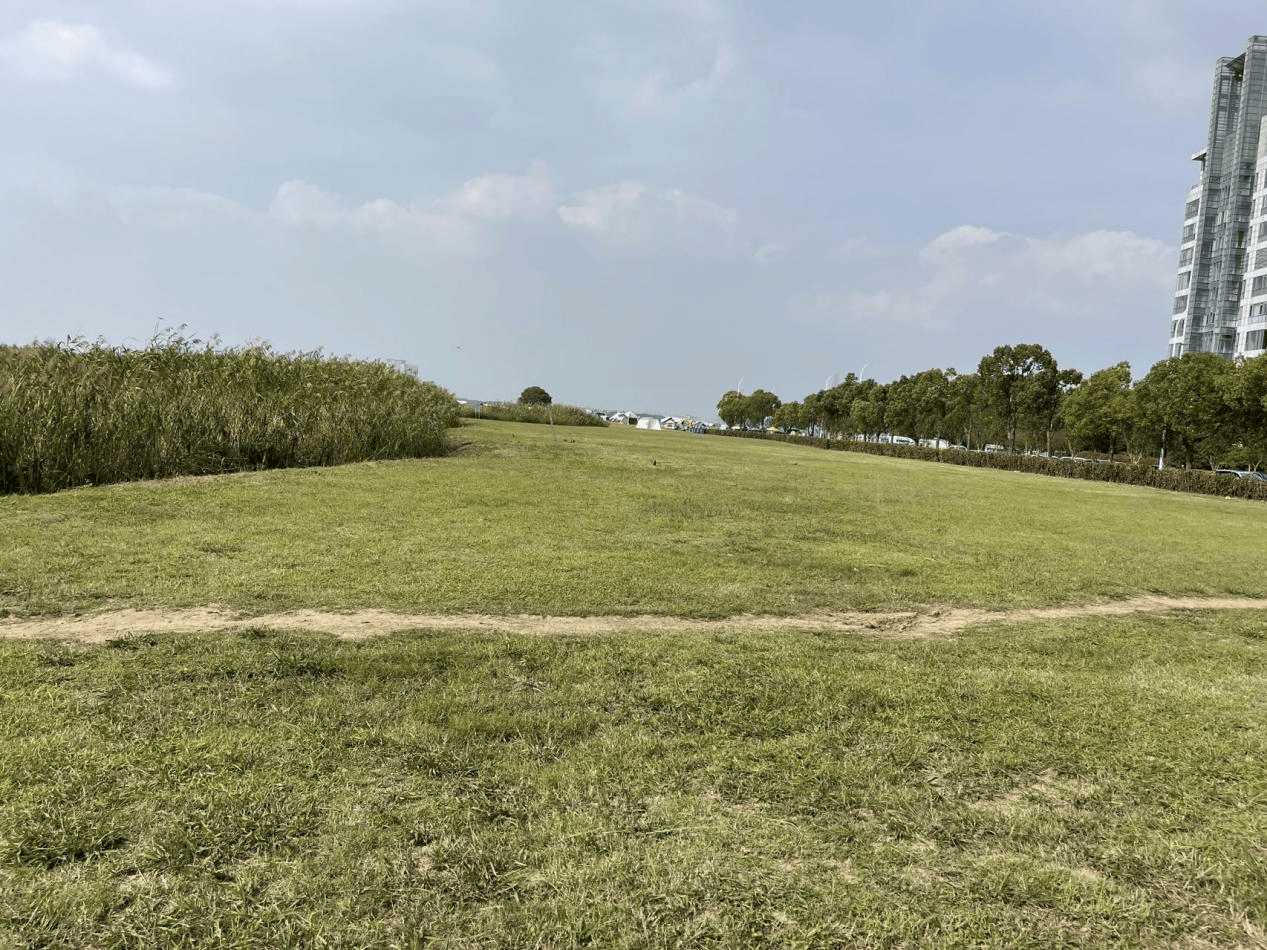 企业竞买法拍地却陷“维权泥潭”18年 海口一法院被判赔偿(图2)