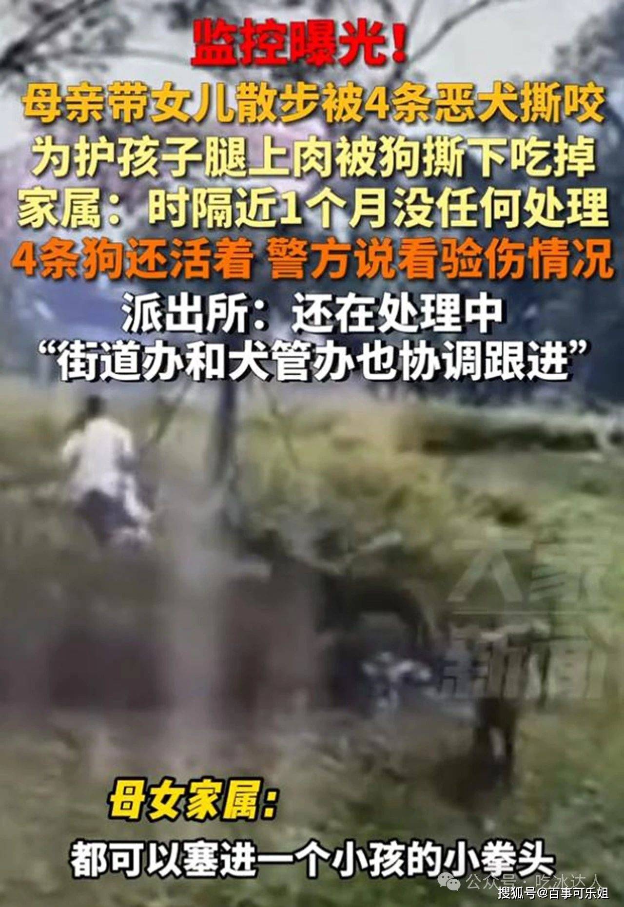 母女遭恶犬撕咬后续 官方介入调查