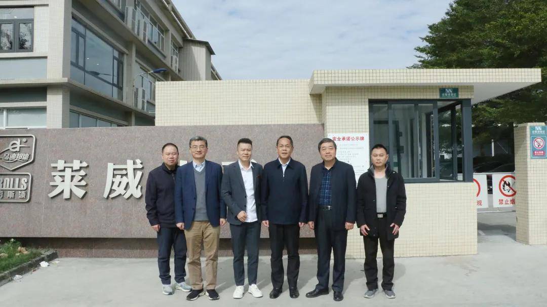 涂家具丨安庆市领导一行到访一品迪邦，领略广东涂料魅力 