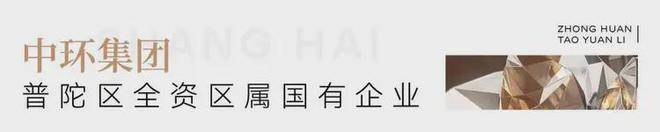 中环桃源里售楼处电话丨楼盘测评丨2025中环桃源里最新价格丨楼盘最新动态_普陀_开发_建筑