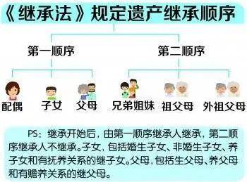 继承法继承顺序列表图图片