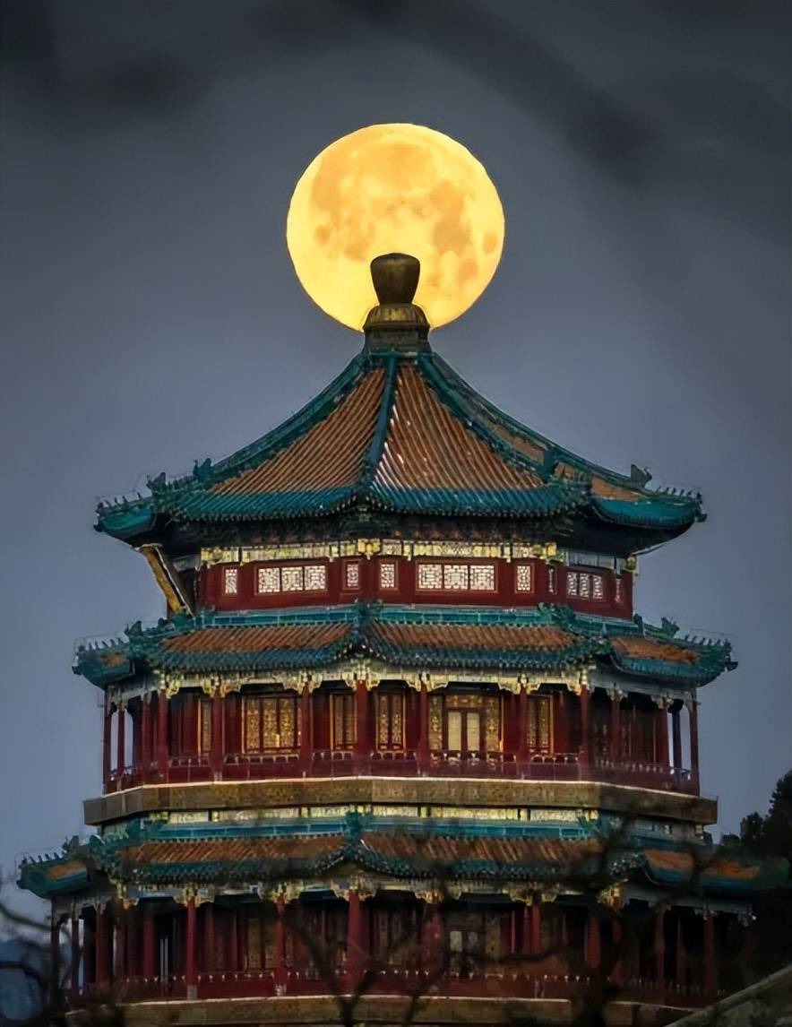 文章配图-4