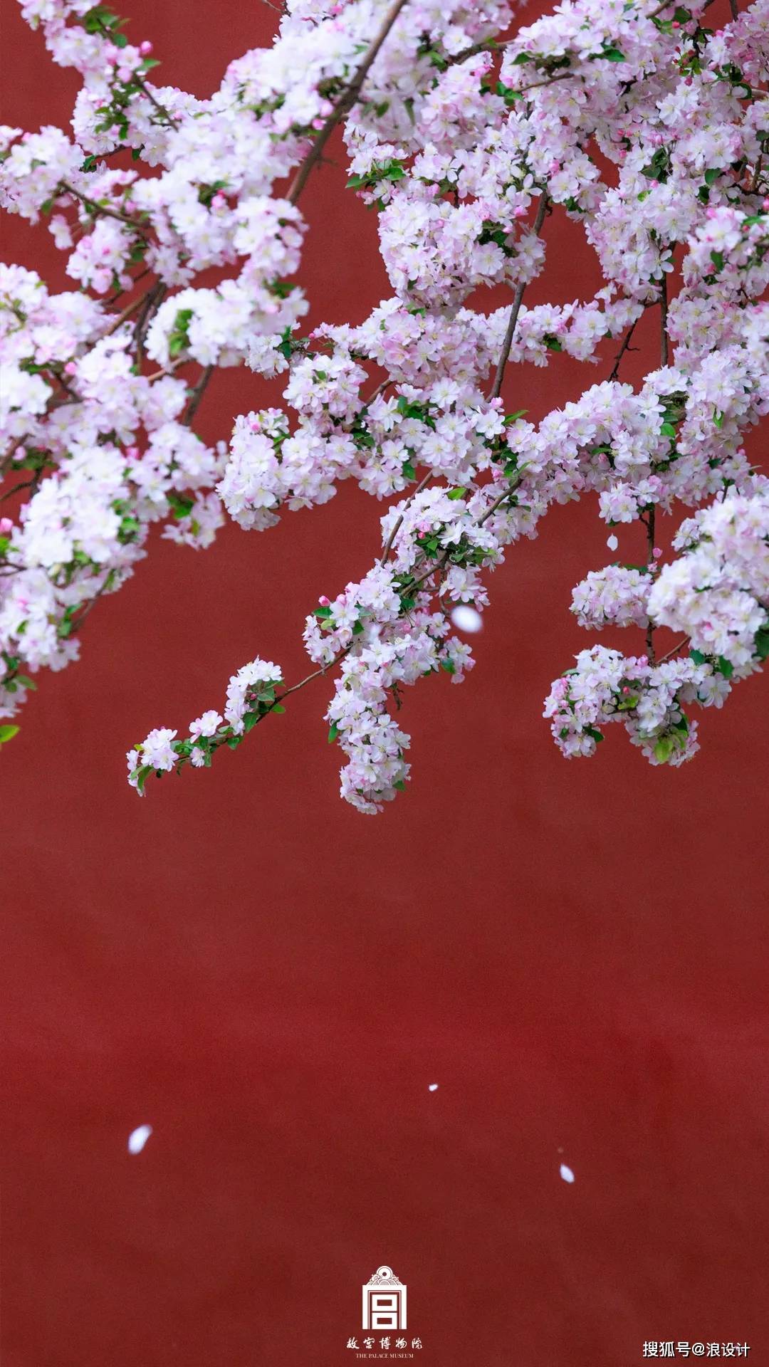 ͼƬ113