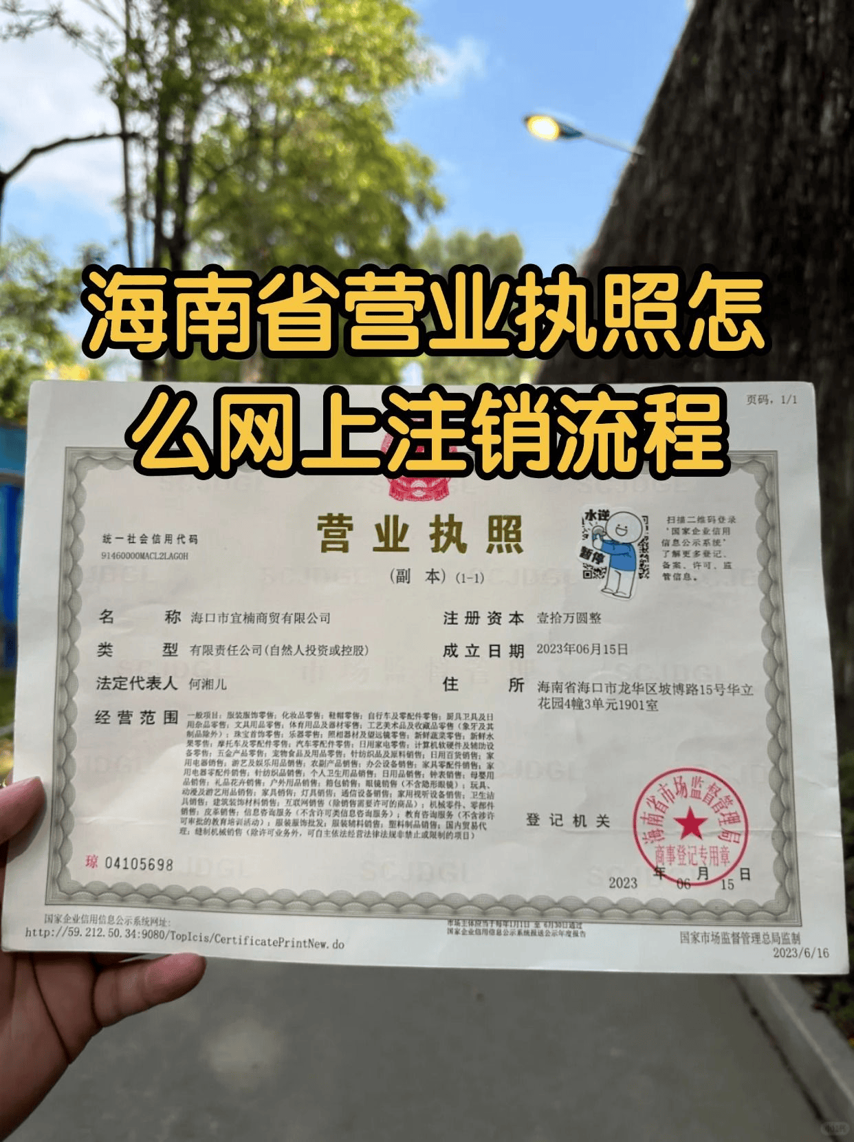 海南省营业执照注销_营业执照不注销法人受限_营业执照不注销后果