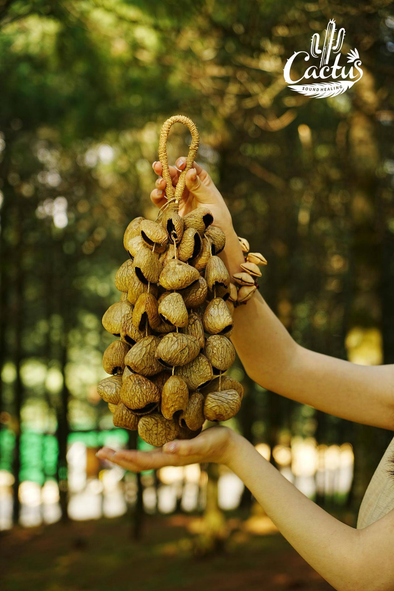 panji果壳手摇铃是什么果壳