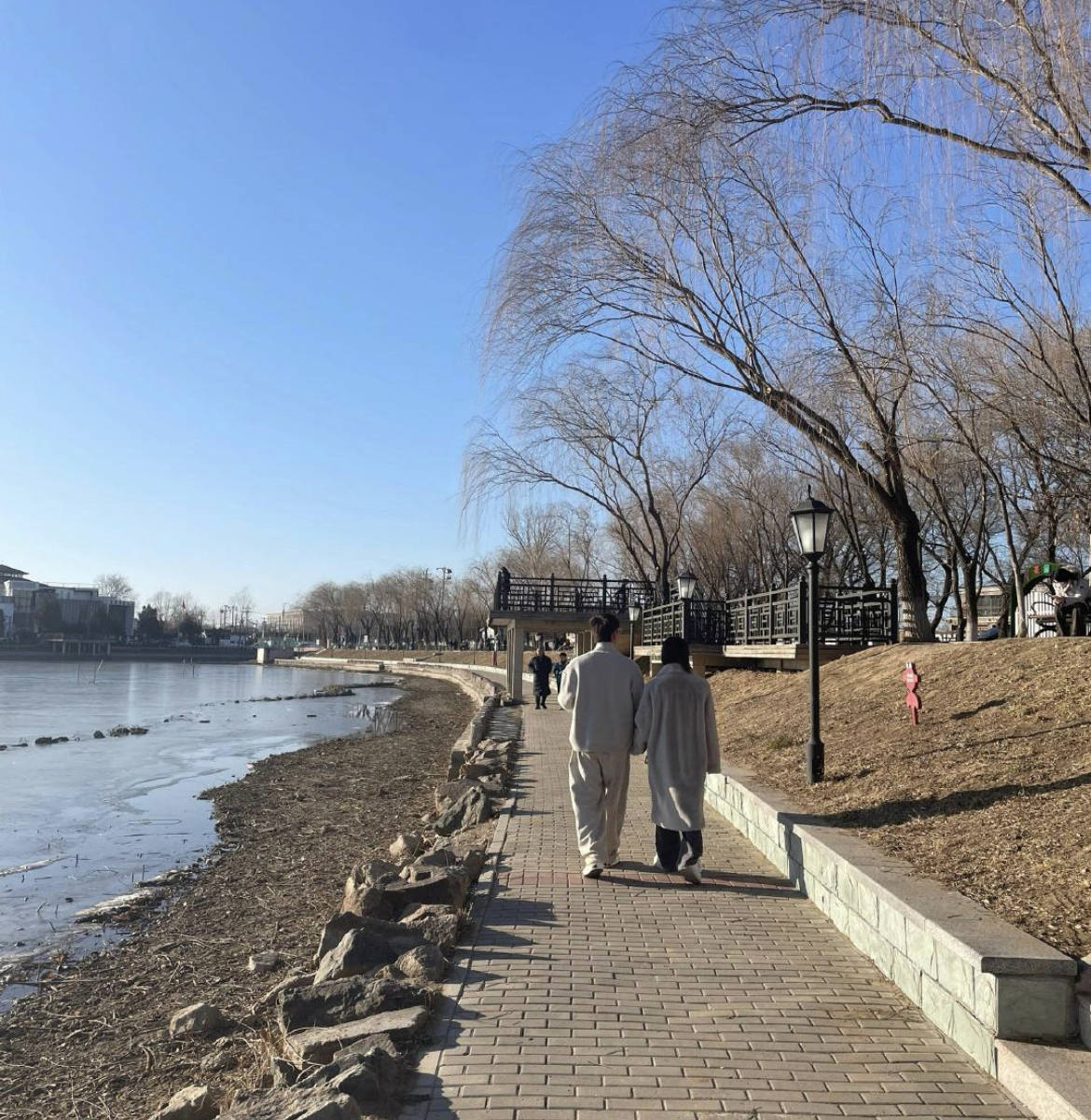 当爱情走出镜头吴谨言和洪尧公园散步背后的甜蜜与争议