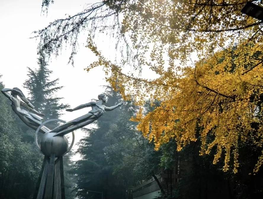 西南财经大学贾晋（河南财经政法大学贾洁）《西南财经大学贾晋简介》