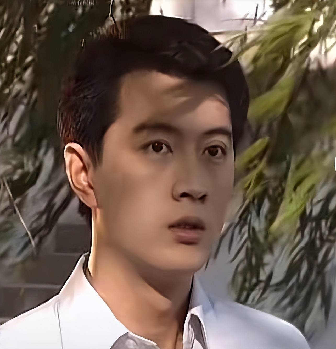 试图用年轻时的帅照求得观众原谅.眼看着观众