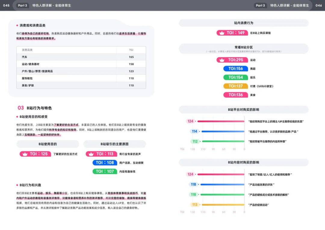 2025年哔哩哔哩用户人群分析，bilibili十五大特色人群特征白皮书-报告智库