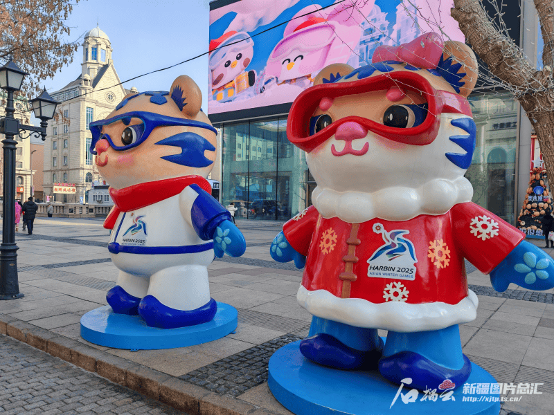 新疆以哈尔滨为鉴，冰雪产业谋发展