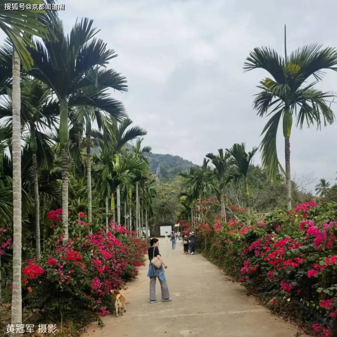 海南东方：从自然美到民俗情，东方：琼岛西陲的多彩画卷