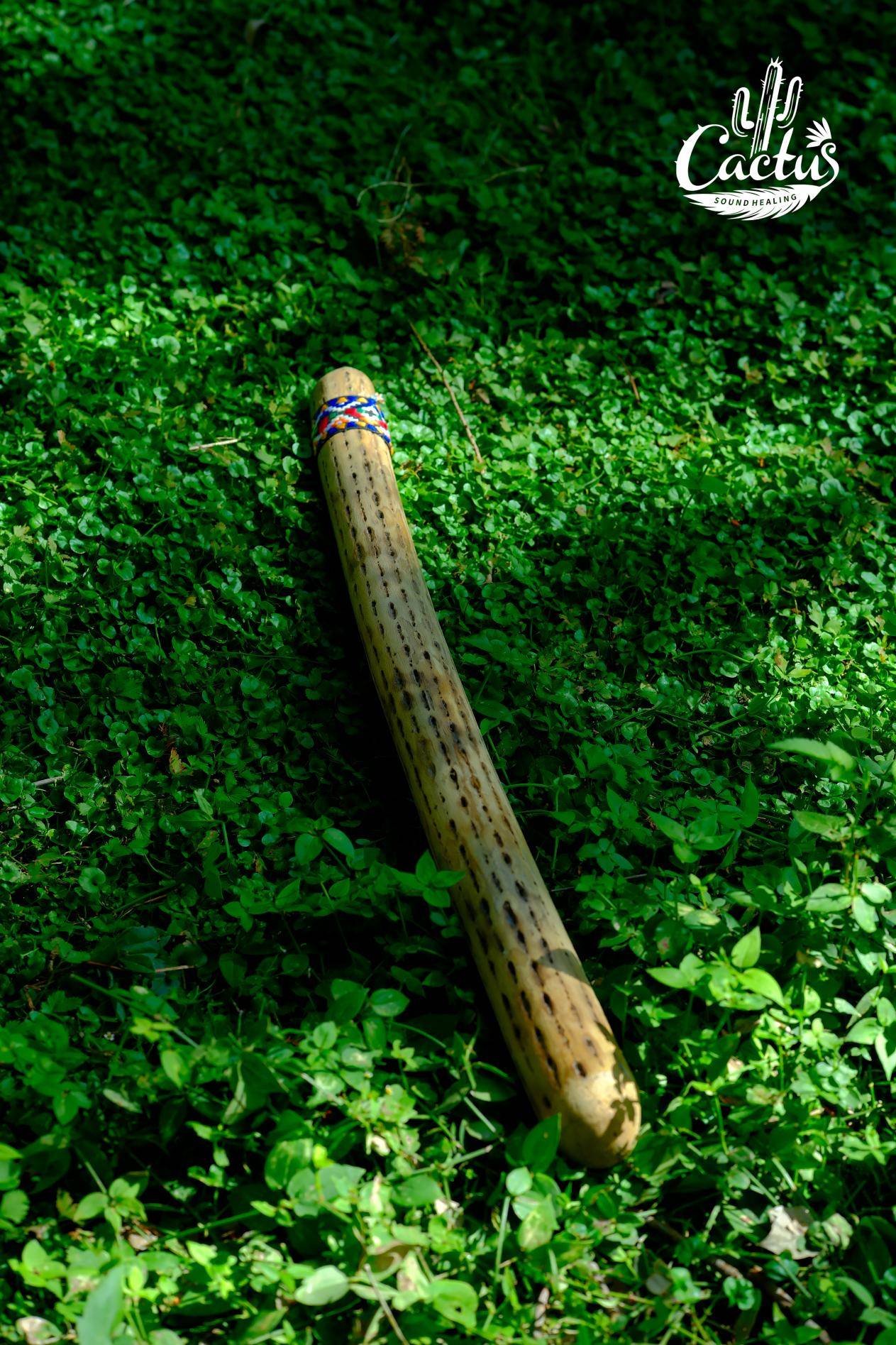 雨棍到底是什么，是如何发出声音的（雨棍乐器什么用）