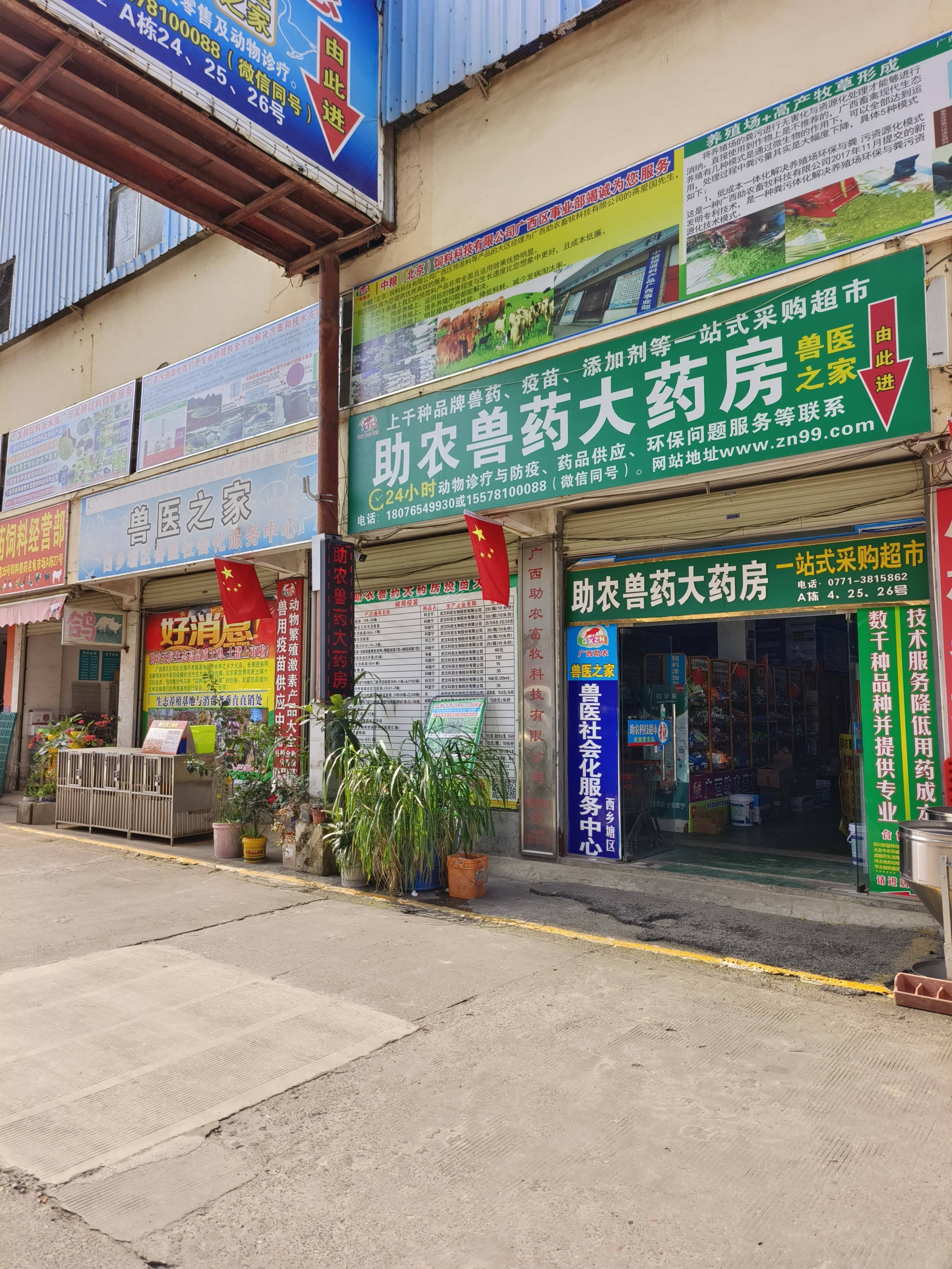 成本低养殖什么好销售?(低成本养殖业什么最赚钱农村)