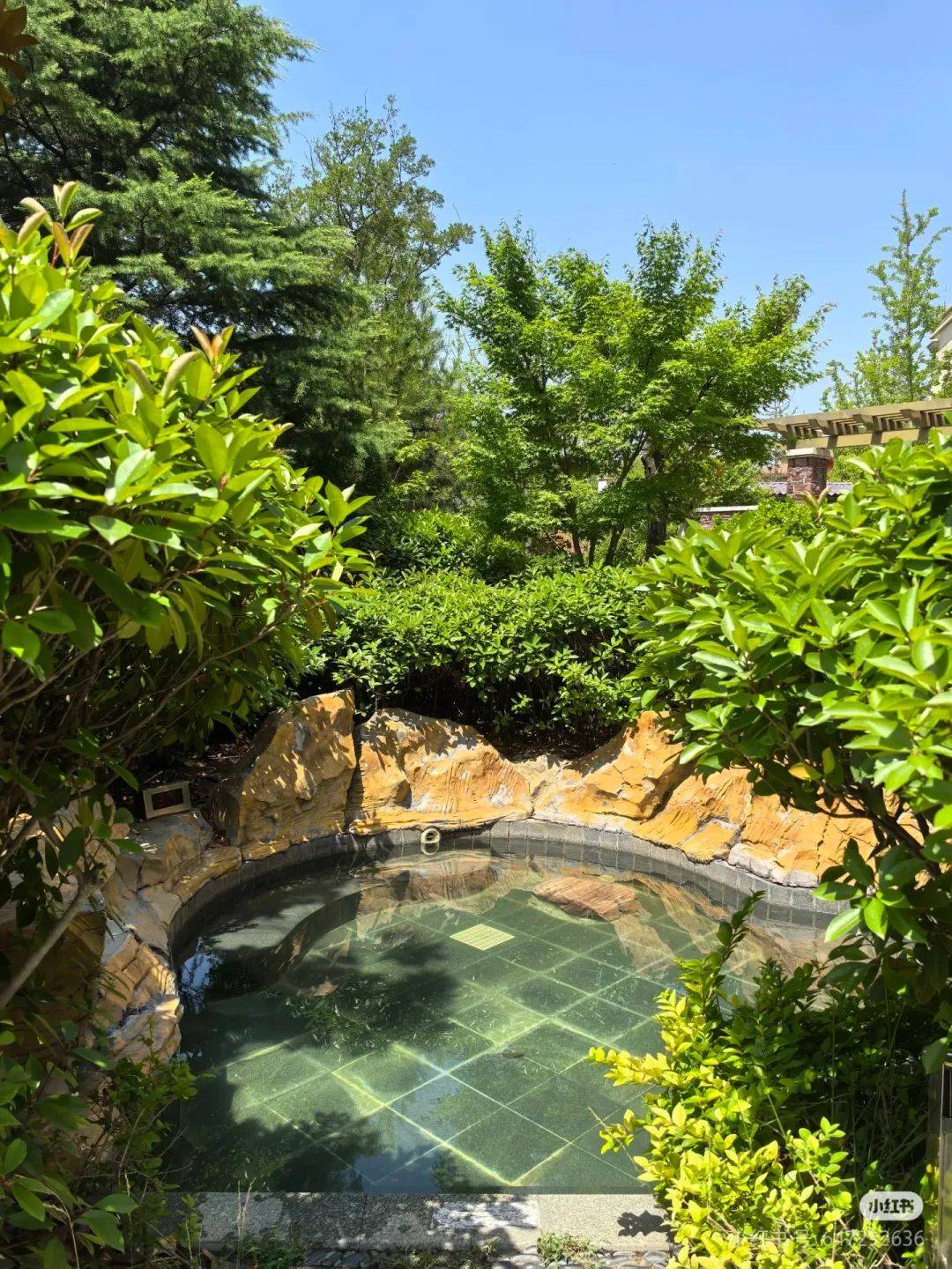 降温冻到抖?临沂这几处温泉一秒暖透