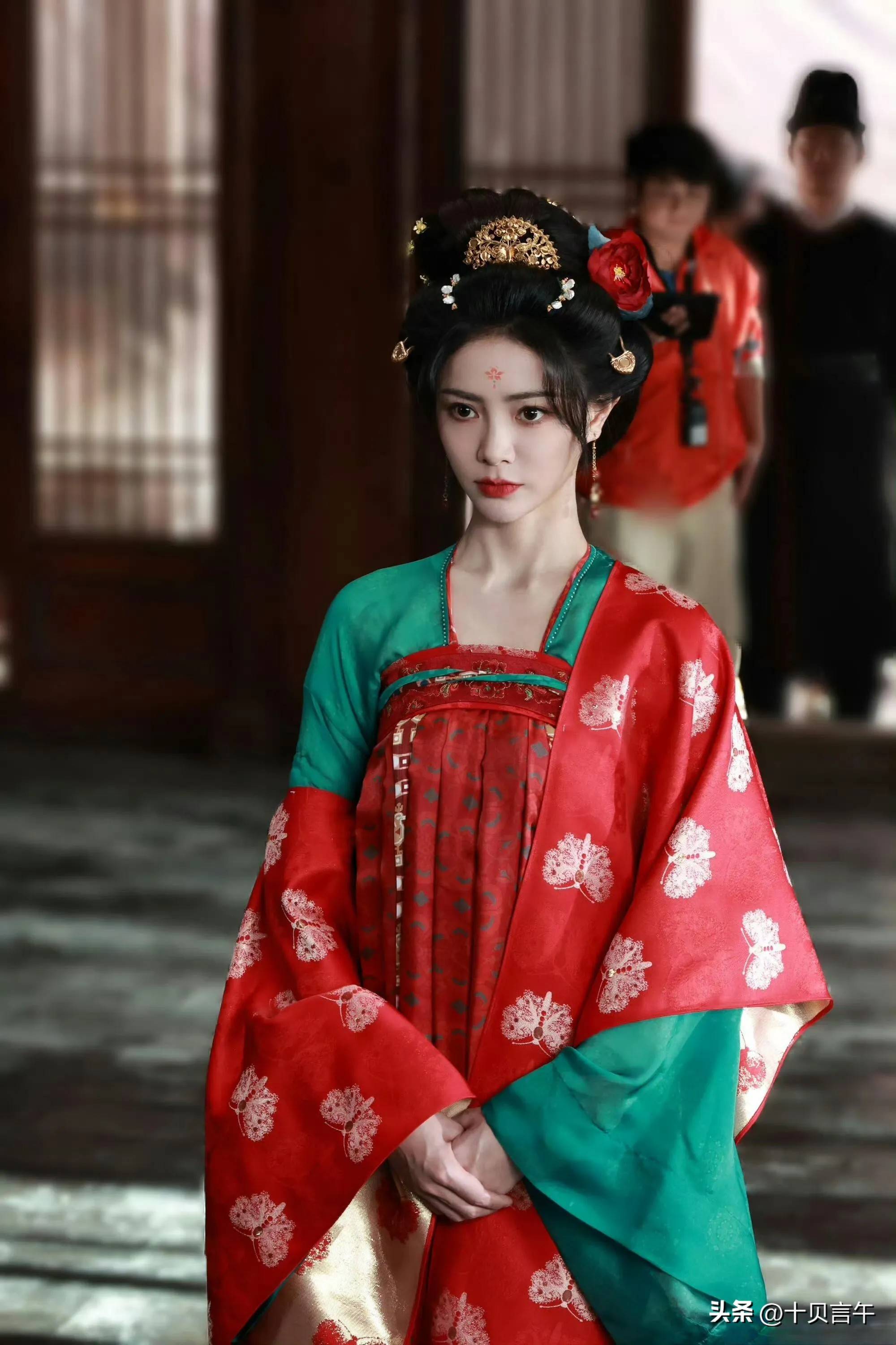 大唐猎美9