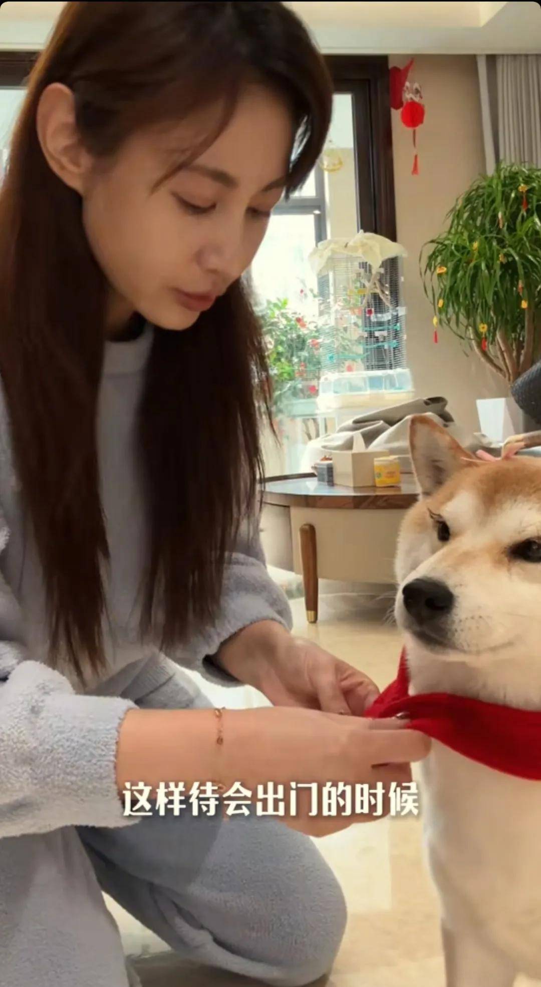 原创            演员杨雪定居南京，在豪宅养一条宠物狗 九只宠物猫 外加一只小鹦鹉