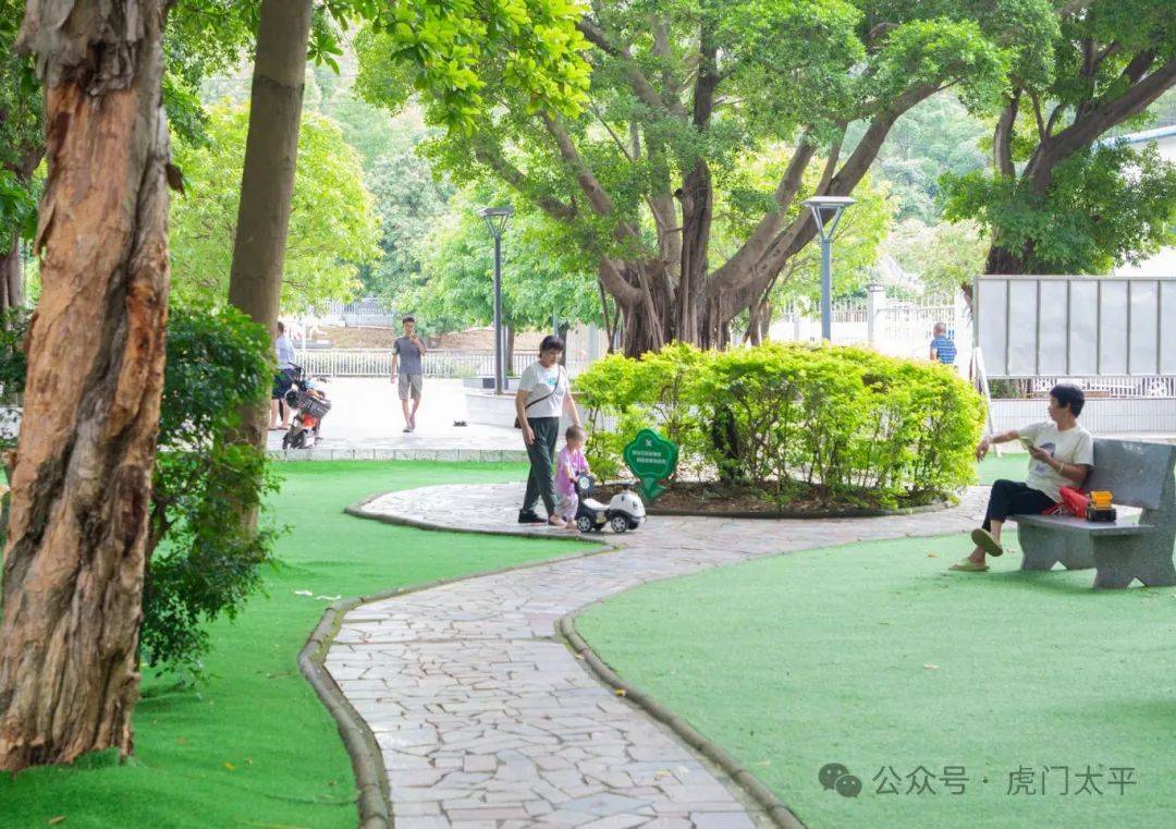 虎门绿美生态建设：绘就城市崭新画卷，探秘虎门绿美生态建设的多元成果
