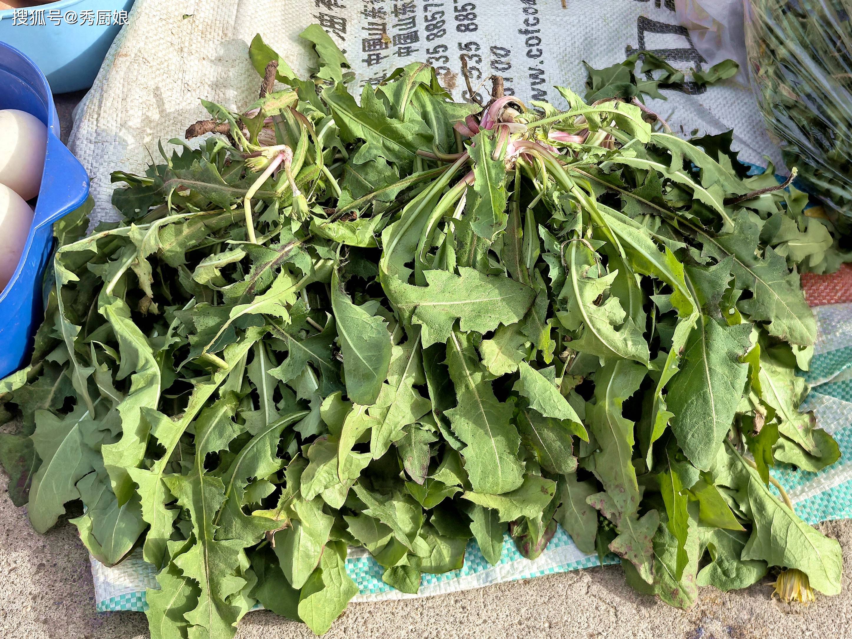 三月份！自带“青霉素”的菜，倡议：春天常常