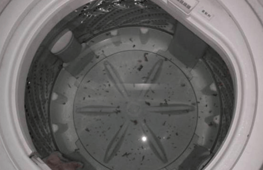 内衣内裤洗衣机品牌哪个好？热门内衣洗衣机十大品牌排行榜分享