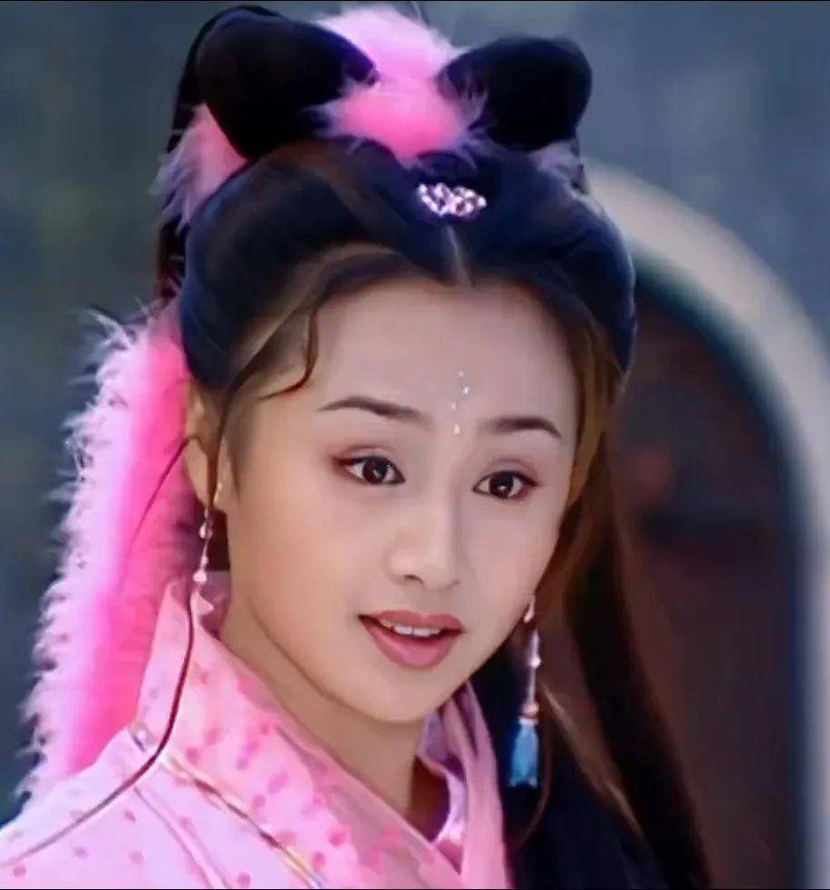 23年过去,《凤在江湖》主演现状,赵鸿飞退圈,曹颖戴娇倩复出