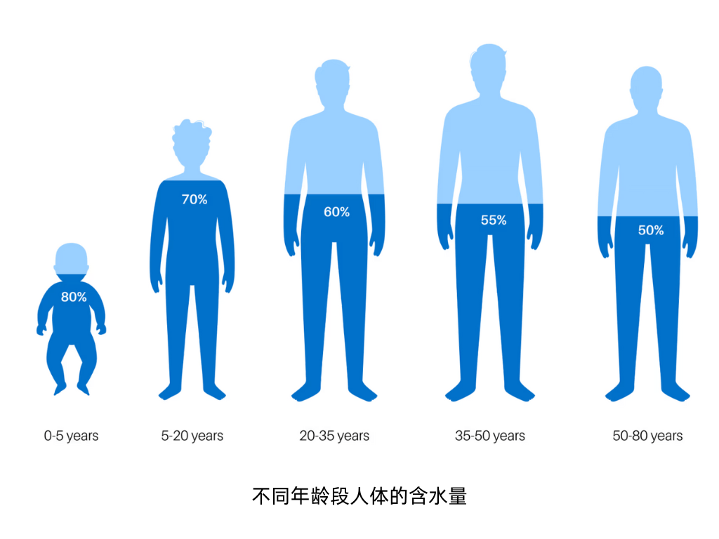 生命之水:解密人体70%的水世界