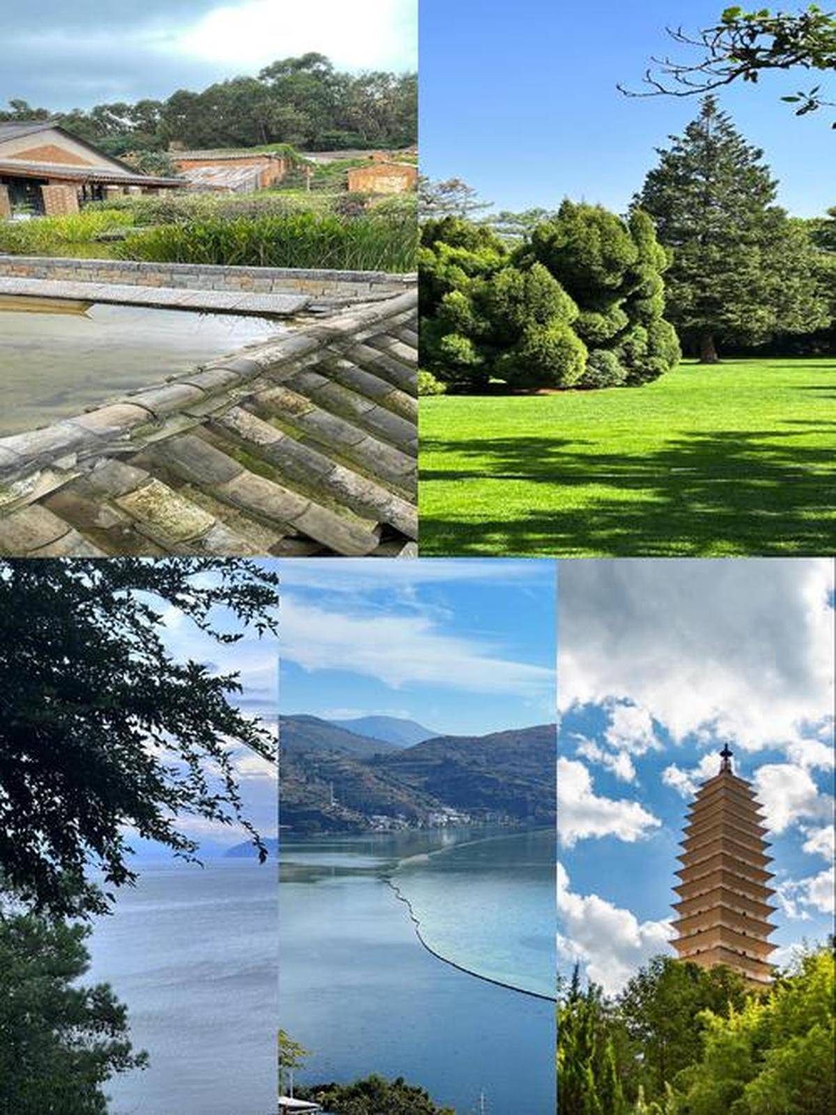 额头生态启示观察滇金丝猴家族如何在雪崩后重建领地读懂高山草甸的