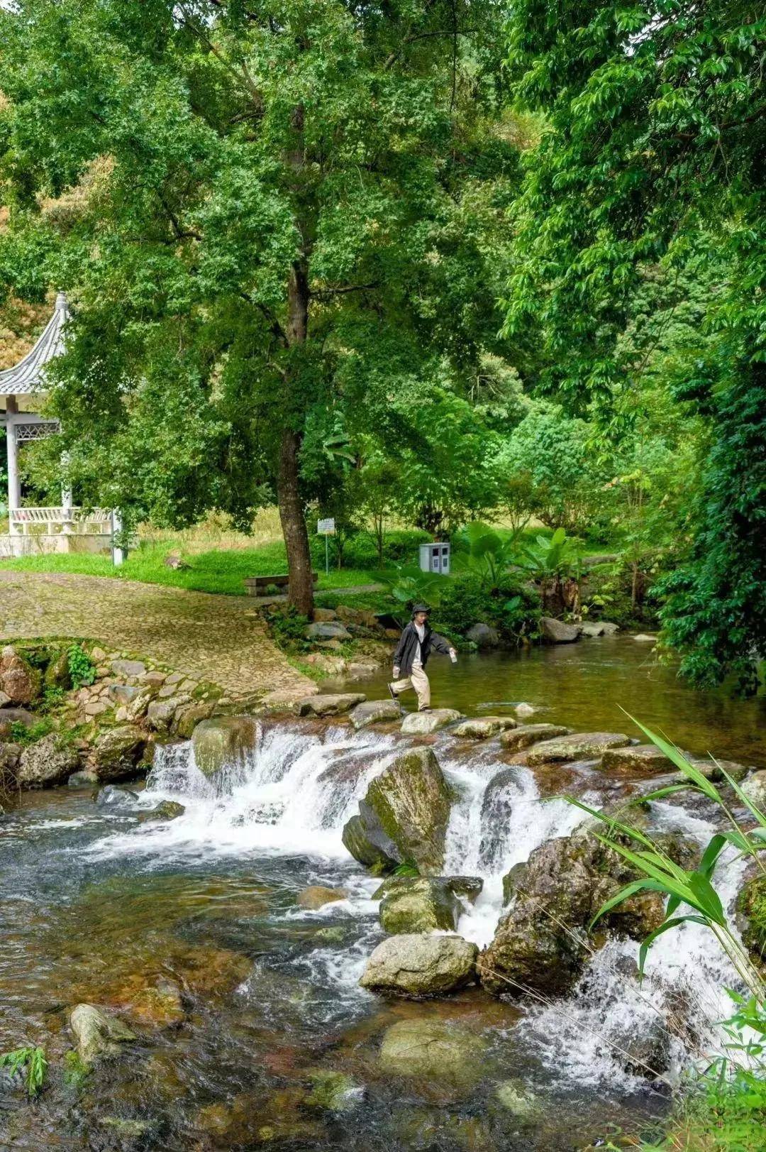 前半段翠竹绿树偶尔还能看到很多小动物长岭国家登山健身步道位于