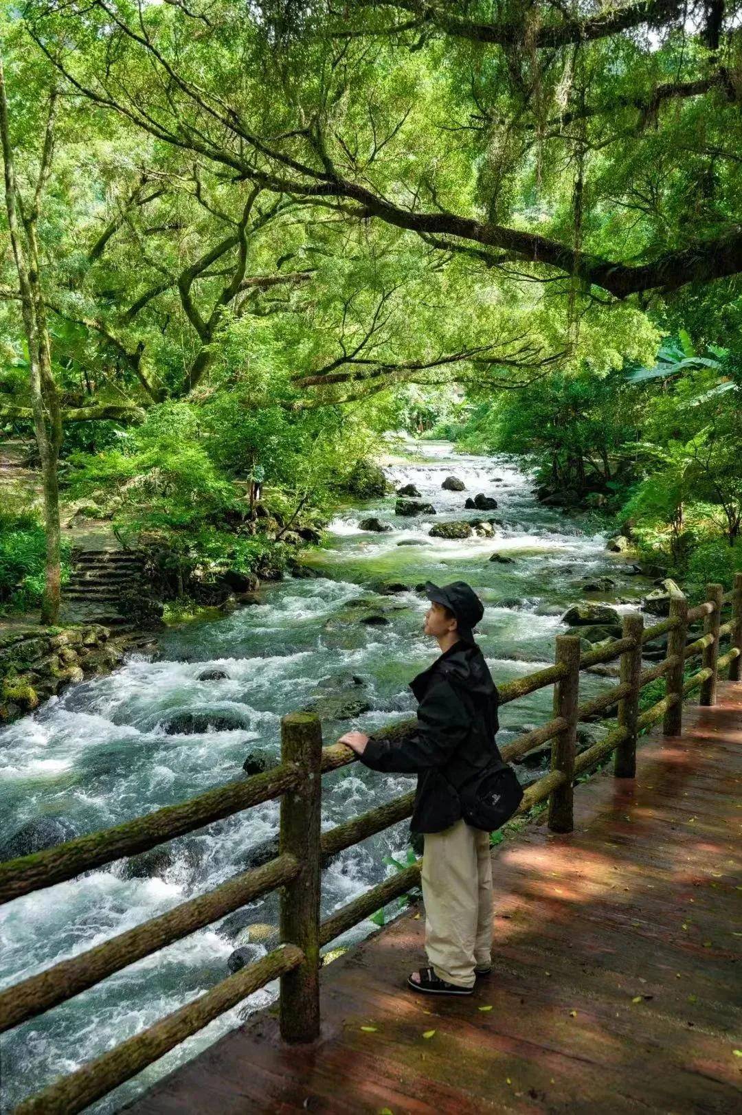 前半段翠竹绿树偶尔还能看到很多小动物长岭国家登山健身步道位于