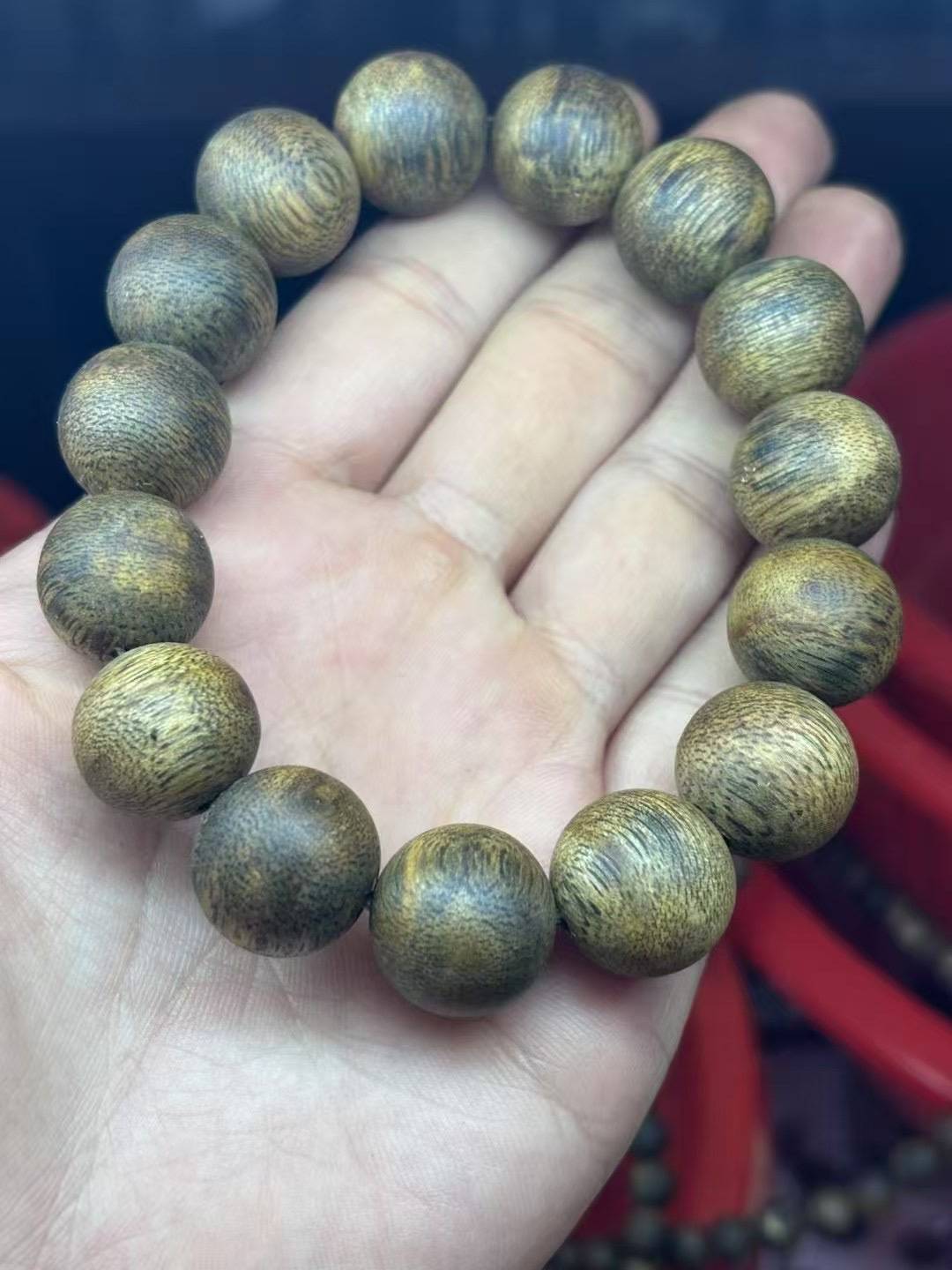 金刚菩提：时光流转中的独特风华
