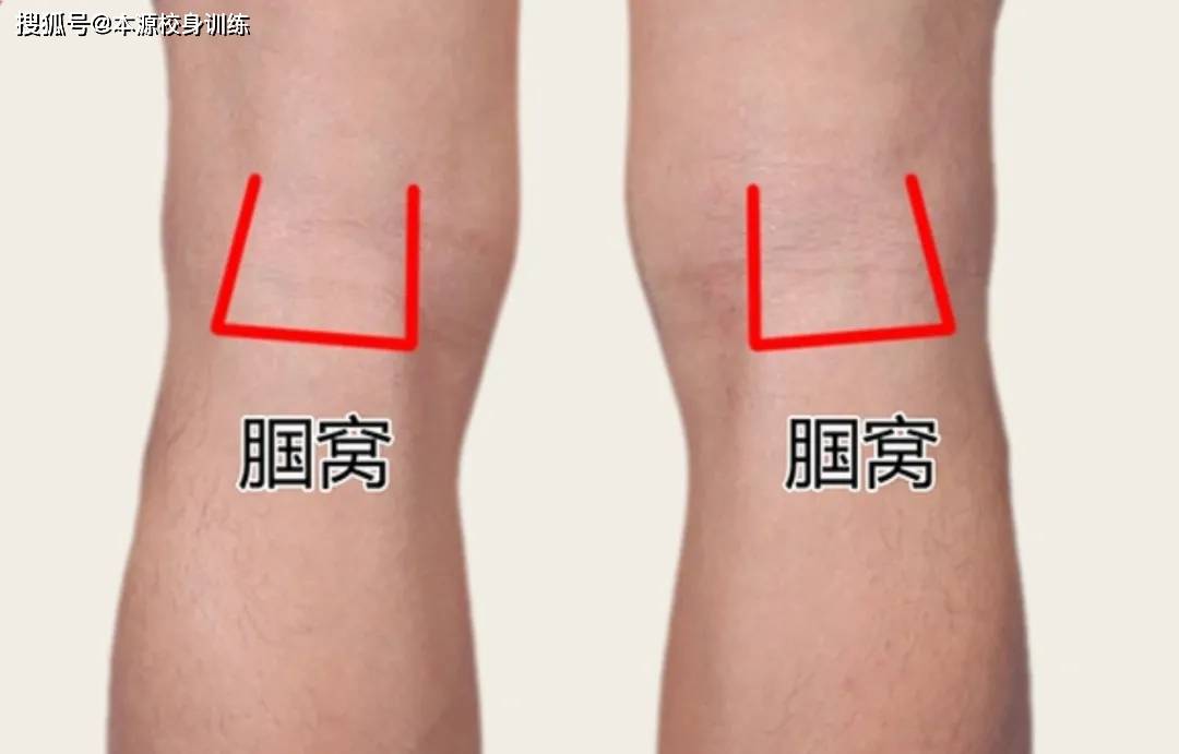 练趴青蛙丨腘窝太紧不只有拉伸一条路