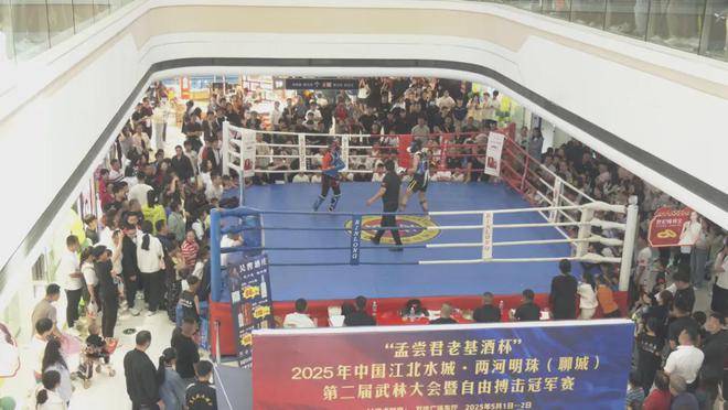2025年聊城武林大会：自由搏击冠军赛激战正酣