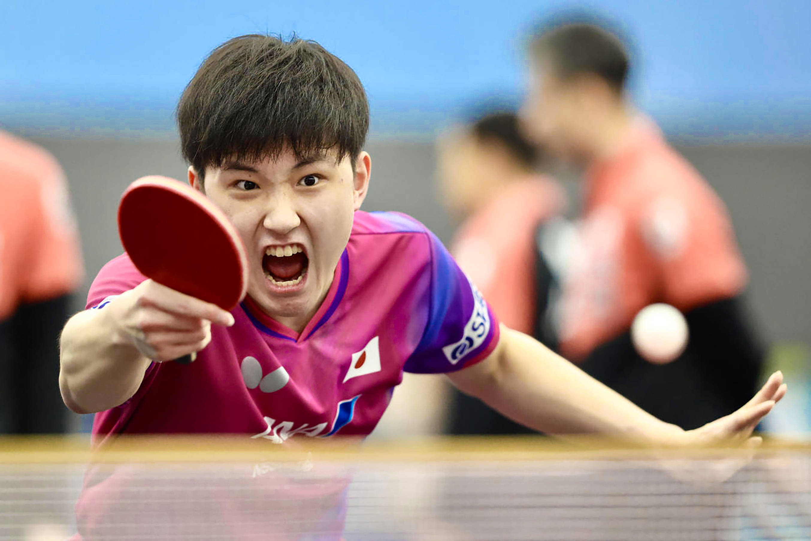 张本智和终于学乖了!多哈世乒赛不再豪言夺金,目标低调冲奖牌!