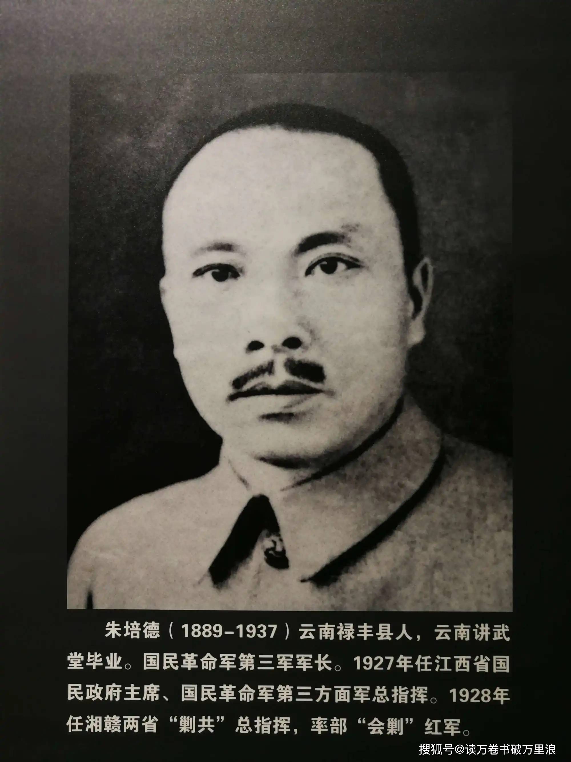 蒋介石下野是啥意思