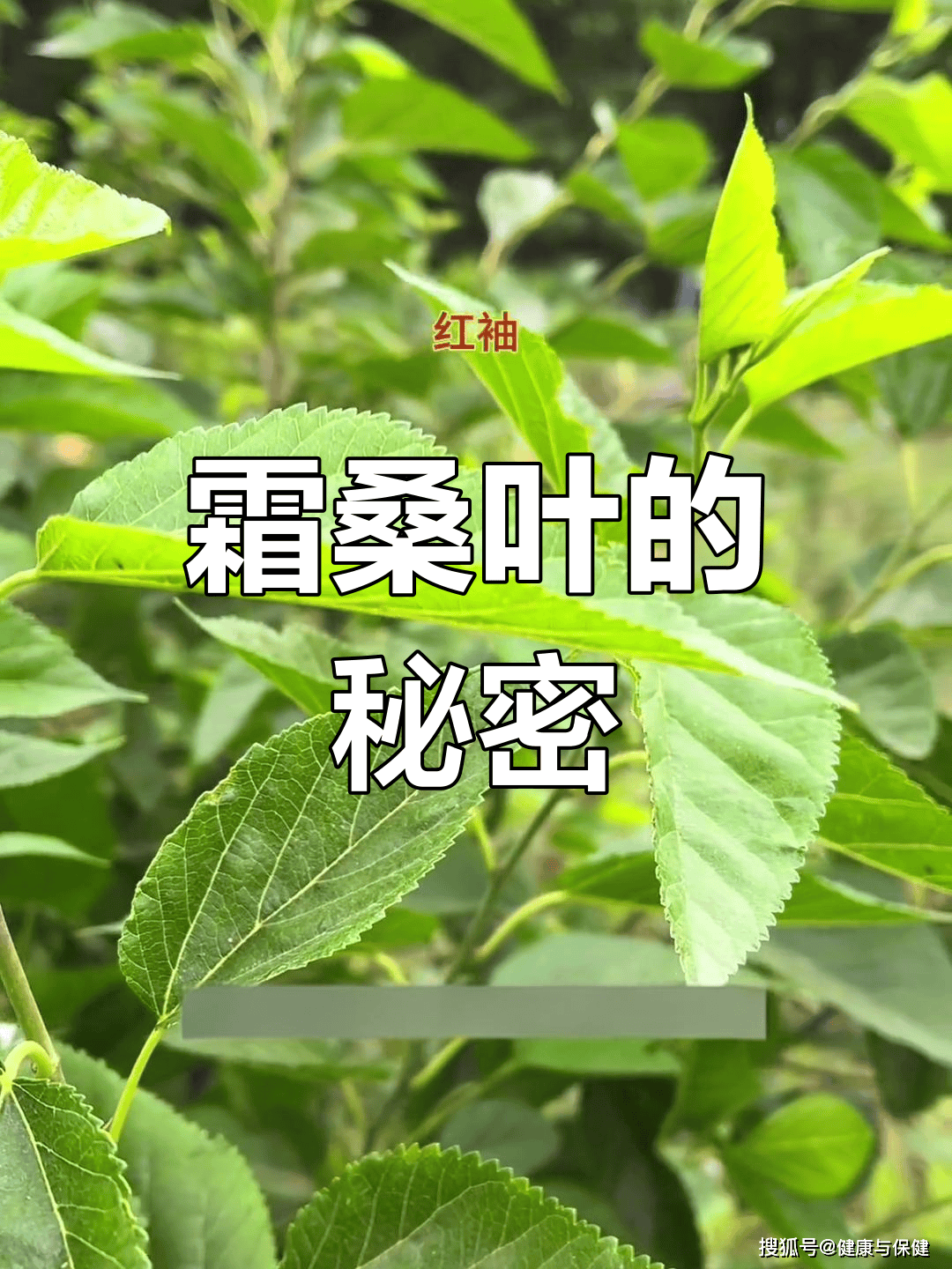 出于明确的目的推荐饮食疗法