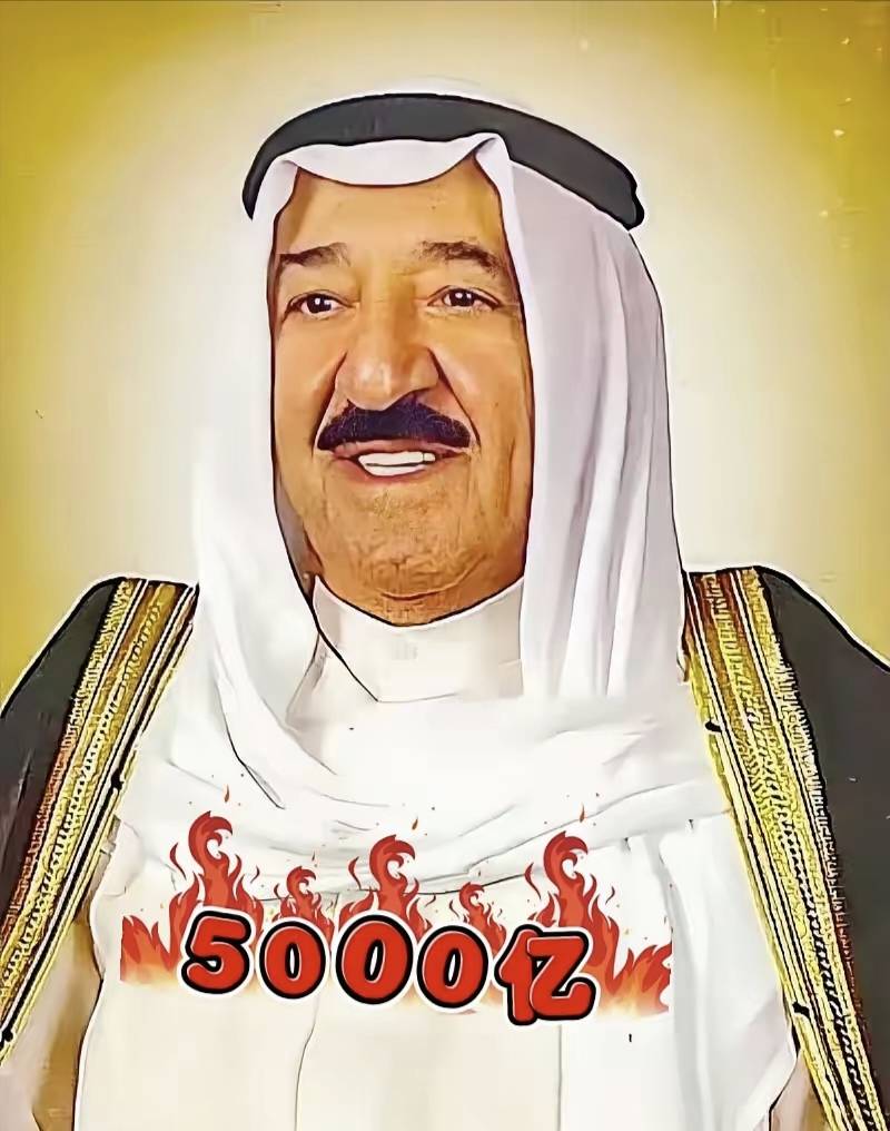 出乎意料！卡塔尔突然宣布：未来十年向美国投资5000亿美元_搜狐网