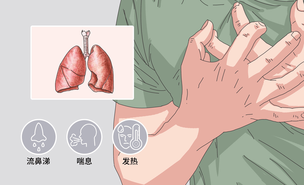 2025除螨仪十大名牌:床上除螨仪十大名牌排行榜综合分享