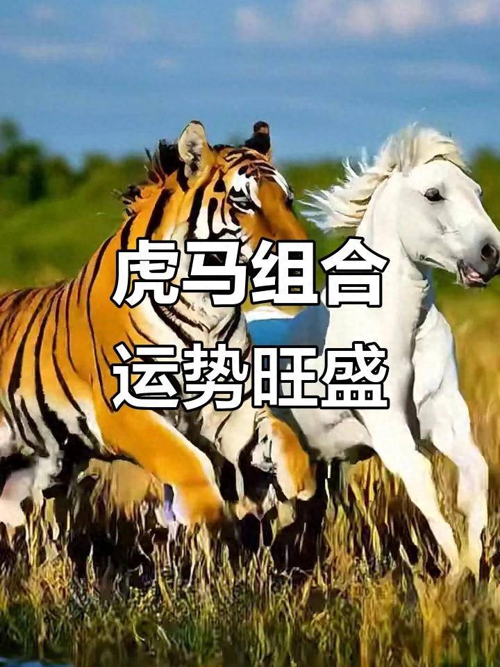 生肖马和生肖虎结婚,是强强联合还是?