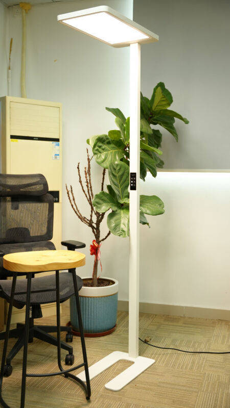 618大促买什么便宜？618促销好物推荐2025，十大2025爆款必买！