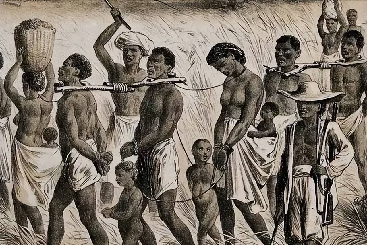 女黑奴的双面性,棉花地里的采摘机器,奴隶主的繁衍工具