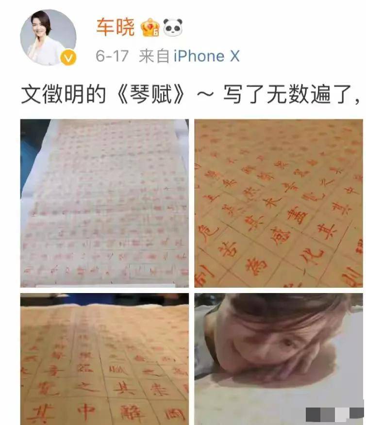 娱乐圈书法惊艳众人！车晓凭啥能让字与字帖媲美？