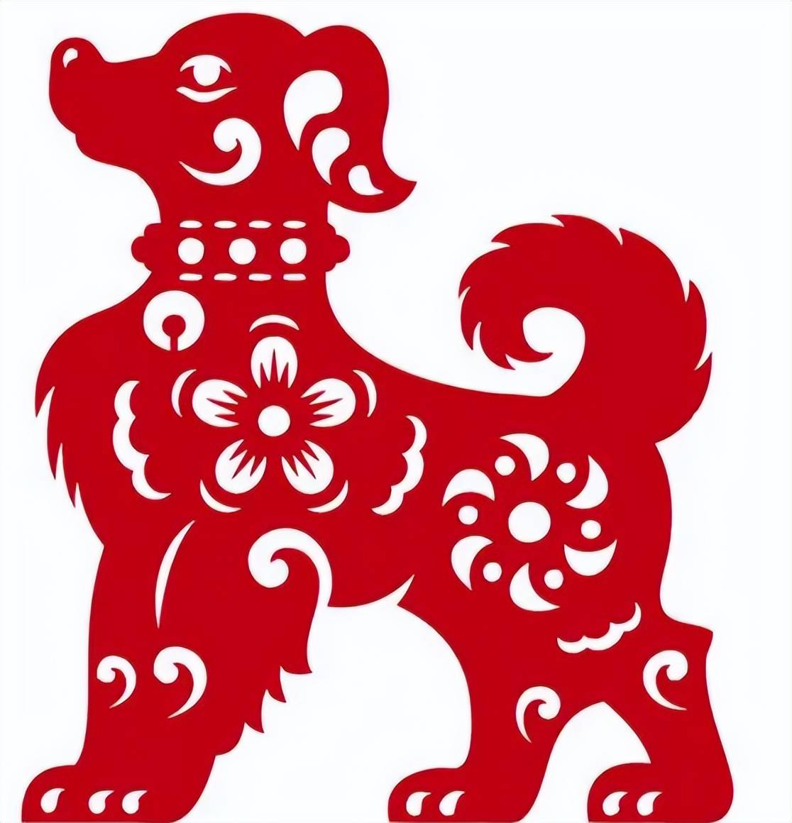 生肖狗近期7天,或许会有惊喜降临,你准备好了吗?