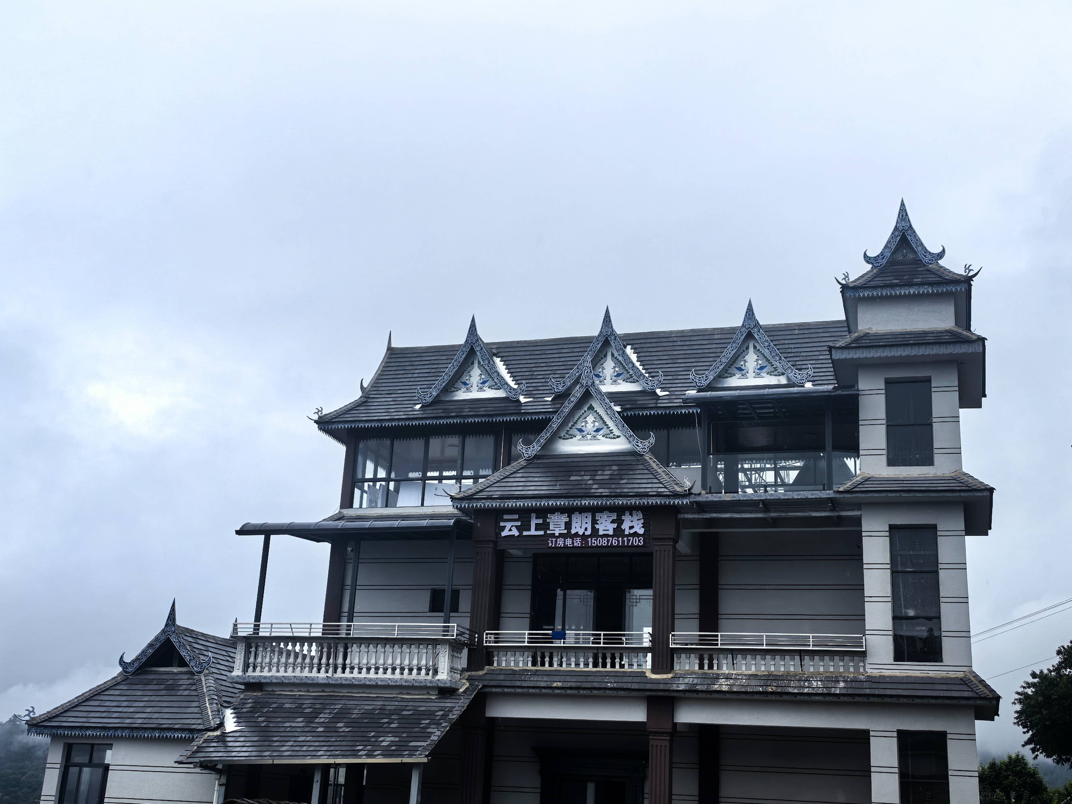 _雨林古茶官方旗舰店_章朗老寨古树茶