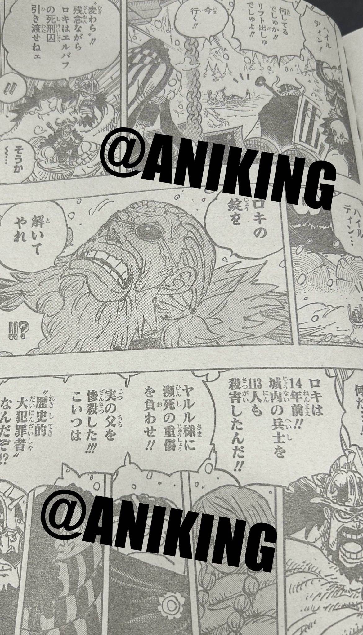 _海贼王巨人族霸国_海贼无双三霸王色之力