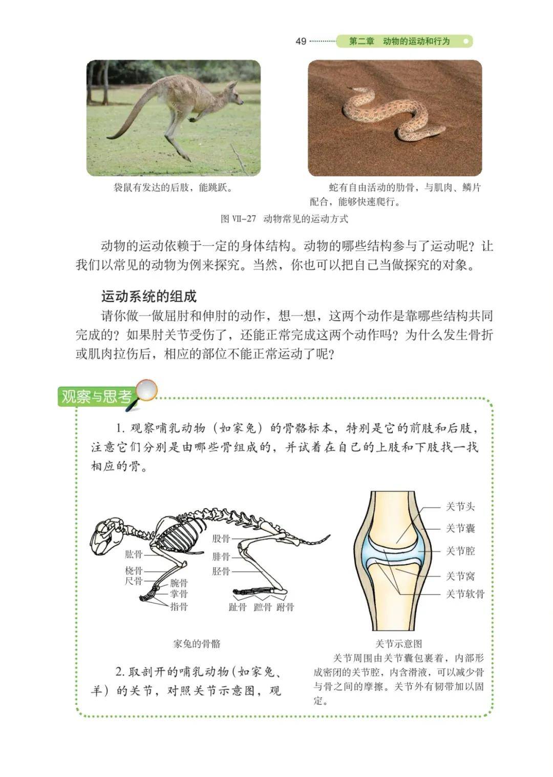 八年级上生物动物的运动和行为真题(八年级上册生物动物的运动和行为知识点)