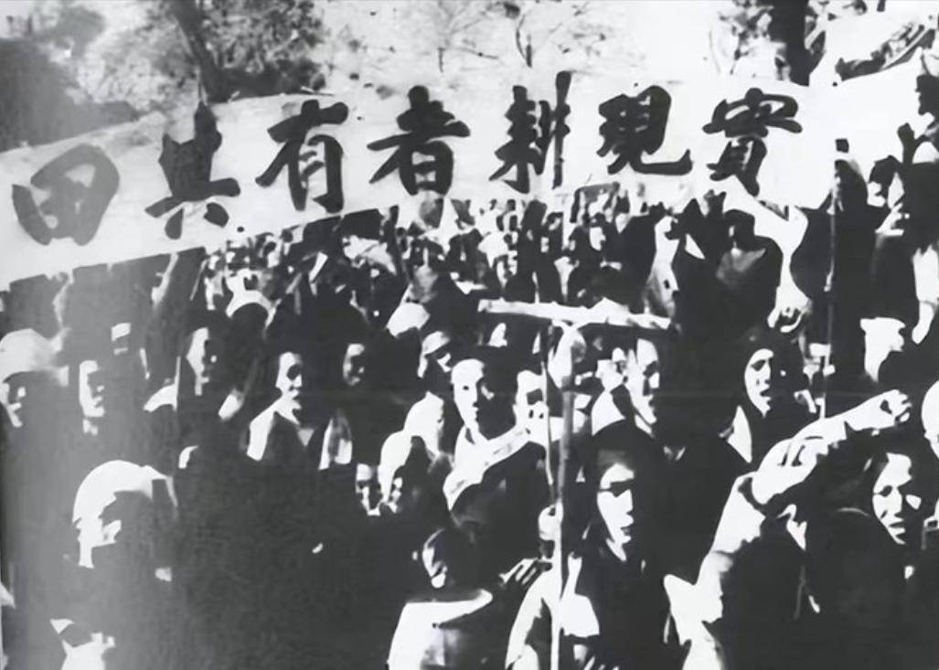 解放前,两地下党即将踏入险地,村口农妇赶着母鸡骂道:乱跑啥