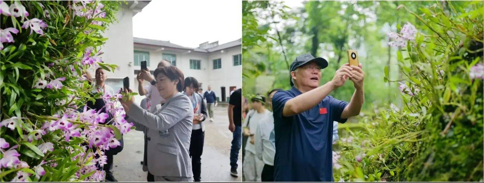 _“地标界爱马仕”再拓疆域：世酒中菜联袂赤水金钗石斛定义中国GI_“地标界爱马仕”再拓疆域：世酒中菜联袂赤水金钗石斛定义中国GI