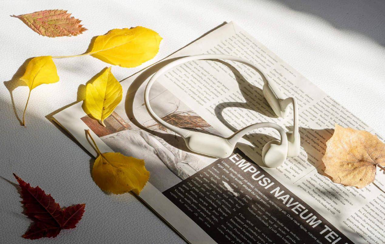 潜水耳机哪个牌子好?2025年最新游泳潜水耳机推荐清单曝光!