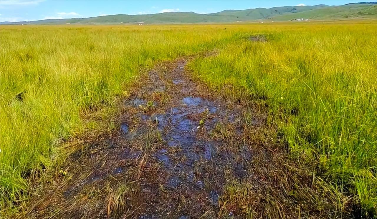 红军长征历尽艰险走过的水草地,到底是哪里?如今变成什么样了?