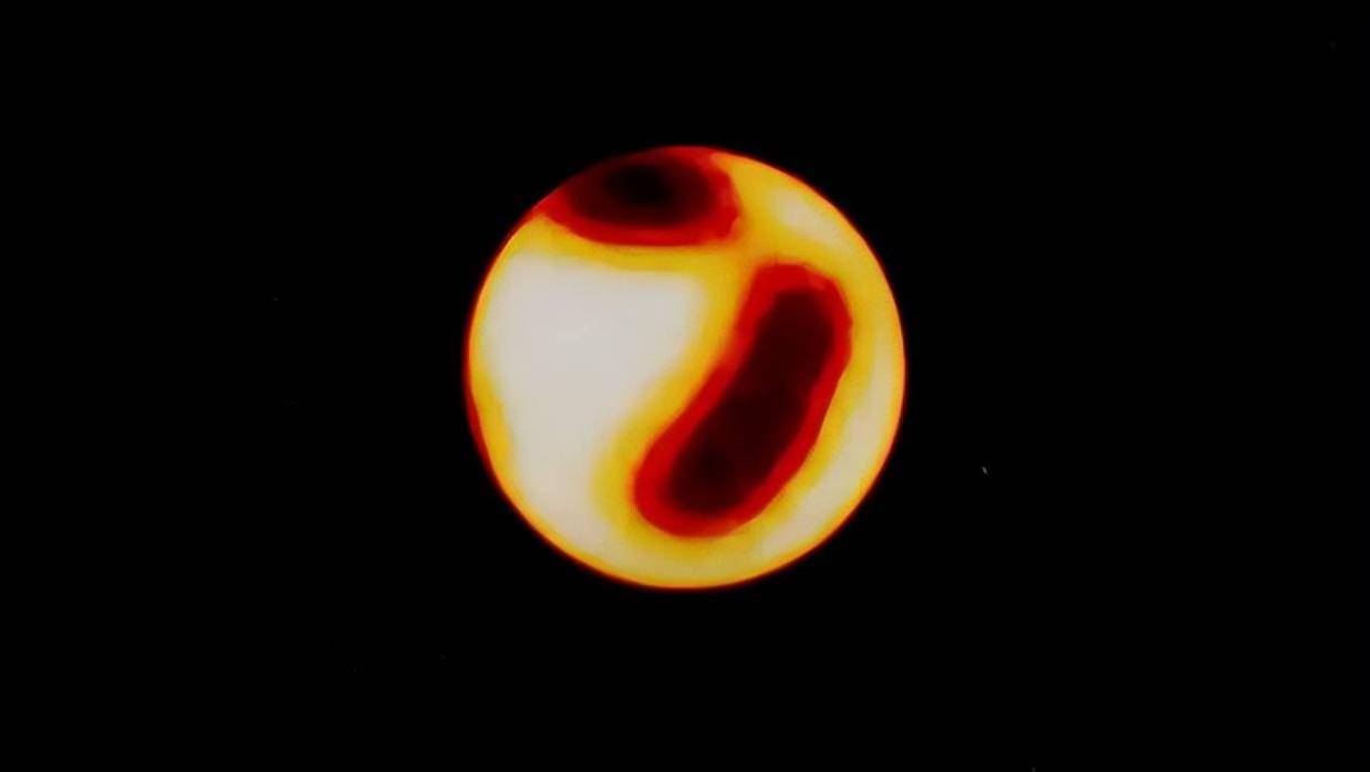 巨大的黑影在恒星表面爬行，天文学家：它们的行为不可预测