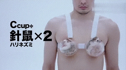 胸大的女生为什么更吸引人？原来最受欢迎的是它......